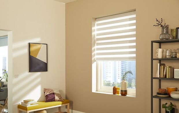 remote control blinds